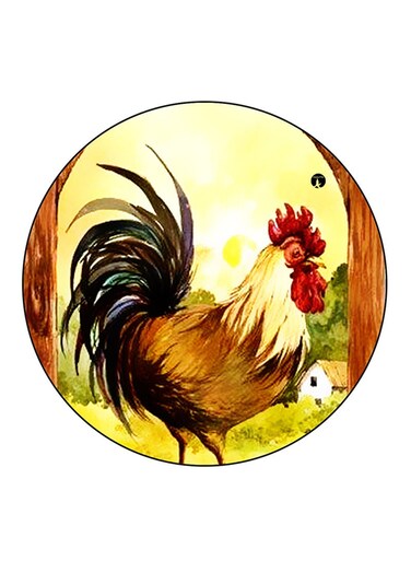Rooster Printed Fridge Magnet Multicolour