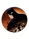 Batman Printed Fridge Magnet Multicolour