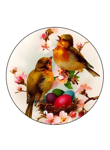 Birds Printed Fridge Magnet Round Multicolour