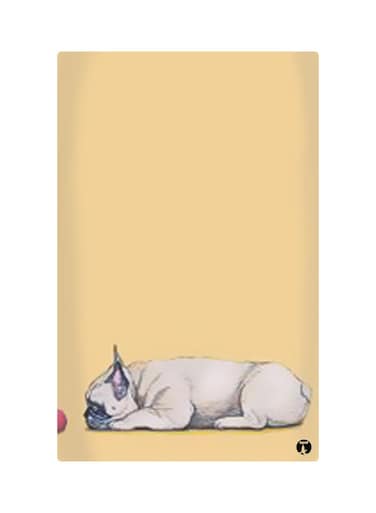 Printed Fridge Magnet Multicolour 8.5x0.4x5.5cm