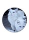 Cat Printed Fridge Magnet Multicolour 5.5 x 5.5cm