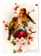 Printed Decorative Plate Multicolour 15 x 20cm