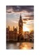 Printed Fridge Magnet Multicolour 8.5x0.4x5.5cm