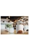 Ruby Cavalier King Charles Spaniel Dog (S2) Ceramic Coffee Mug Tea Cup, 11 OZ