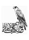 Arabic Quote MDF Painting Multicolour 30x0.5x30cm