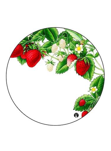Strawberries Printed Fridge Magnet Round Multicolour