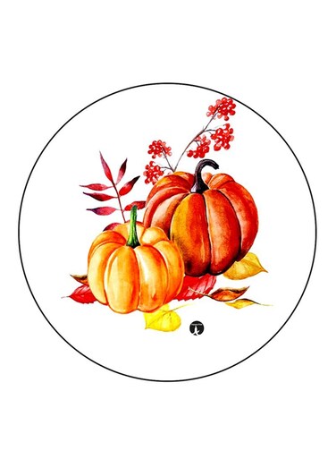 Pumpkins Printed Fridge Magnet Multicolour