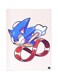 Metal Sonic Plate Poster Multicolour 15x20cm