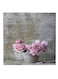Roses Hidden Frame Canvas Wall Painting Multicolour 50 x 50cm
