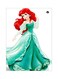 Princess Themed Metallic Plate Green/White/Red 20x15cm