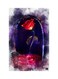 Printed Fridge Magnet Multicolour 8.5x0.4x5.5cm