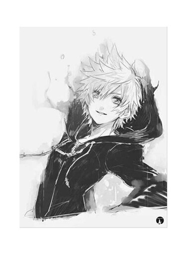 Video Game Kingdo Hearts Metal Plate Poster Black/White 15x20cm