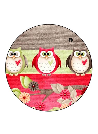 Owls Printed Fridge Magnet Multicolour