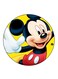 Disney Character Printed Fridge Magnet Multicolour