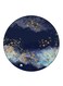 Stars Printed Fridge Magnet Multicolour