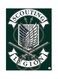 Anime Attack On Titan Metal Plate Poster Green/White 15x20centimeter