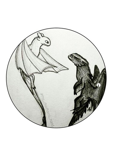 How To Train Your Dragon Printed Fridge Magnet Multicolour