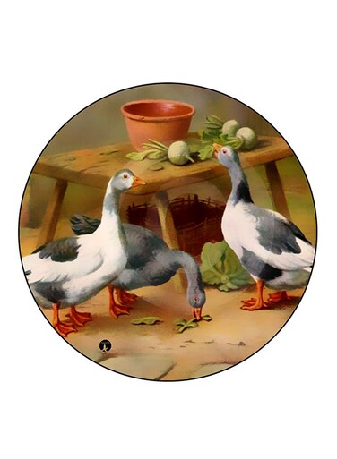 Ducks Printed Fridge Magnet Round Multicolour