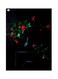 Rose Themed Decorative Metallic Plate Black/Red/Green 20x15cm