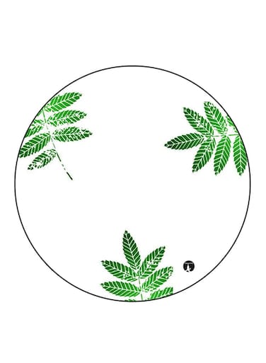 Leafs Printed Fridge Magnet White/Green