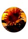 Flower Printed Fridge Magnet Round Multicolour