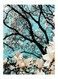 Printed Decorative Plate Multicolour 15 x 20cm