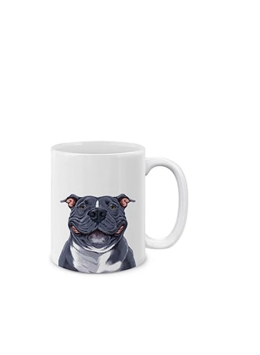 Cute Dazed Pug Puppy Dog Ceramic Coffee Mug Tea Cup, 11 OZ