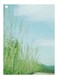 Landscape Printed Decorative Plate Green/Blue 20x15cm
