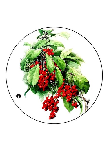 Plants Printed Fridge Magnet Multicolour