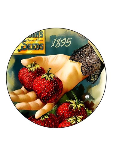 Vintage Art Printed Fridge Magnet Multicolour