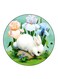 Rabbit Printed Fridge Magnet Multicolour