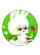 Rabbit Printed Fridge Magnet Multicolour