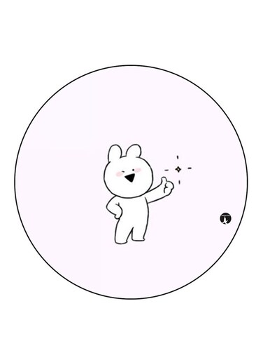 Rabbit Printed Fridge Magnet Round Multicolour