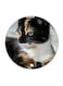 Cat Printed Fridge Magnet Round Multicolour