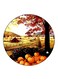 Nature Printed Fridge Magnet Round Multicolour