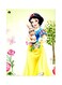 Snow White Themed Metallic Plate Yellow/Blue/Green 20x15cm