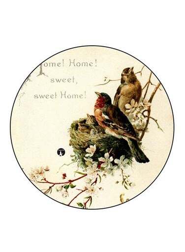 Birds Printed Fridge Magnet Multicolour