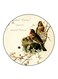 Birds Printed Fridge Magnet Multicolour