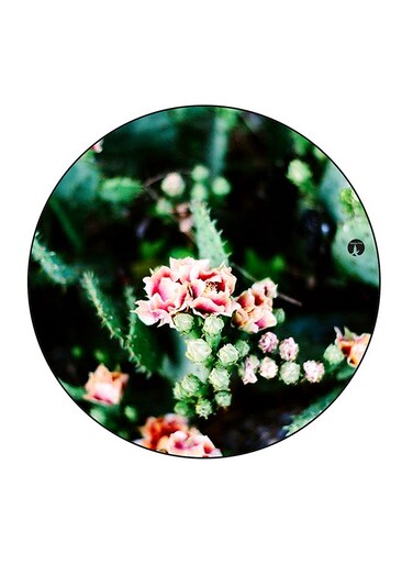 Flower Printed Fridge Magnet Multicolour