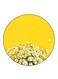 Flowers Printed Fridge Magnet Multicolour