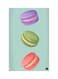 Printed Fridge Magnet Multicolour 8.5x0.4x5.5cm
