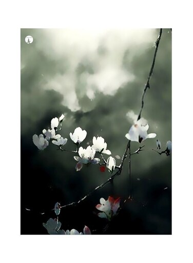 Flower Theme Printed Plate Grey/Black/White 20x15cm