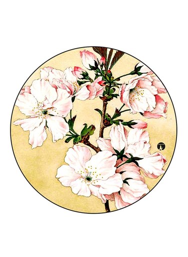 Flowers Printed Fridge Magnet Multicolour