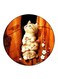 Cat Printed Fridge Magnet Multicolour