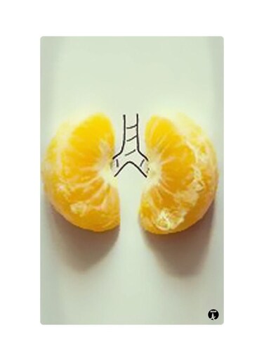 Printed Fridge Magnet Multicolour 8.5x0.4x5.5cm