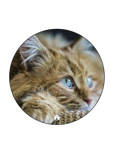 Cat Printed Fridge Magnet Round Multicolour