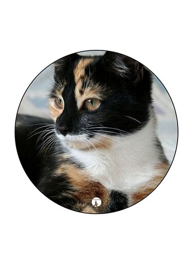 Cat Printed Fridge Magnet Multicolour 5.5 x 5.5cm