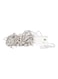 LED Decorative Line Light Multicolour