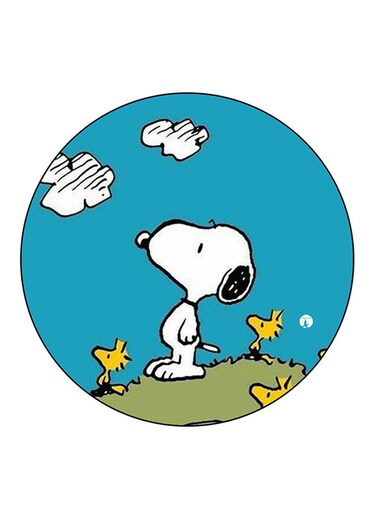Snoopy Printed Fridge Magnet Multicolour