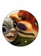 Disney Printed Fridge Magnet Round Multicolour